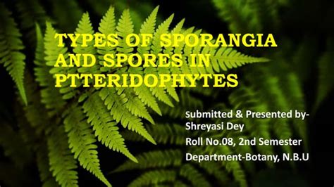 Types of sporangia and spores submitted by shreyasi dey.roll no 08, 2nd ...