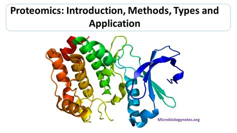 Proteomics Introduction Methods Types And Application