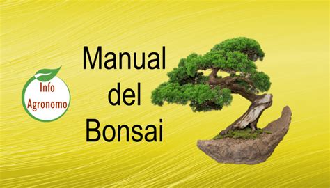 Manual Completo De Bonsai PDF InfoAgronomo