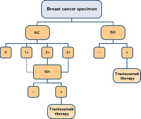 Figure 6 From The Pathology Reporting Of Breast Cancer A Guide For