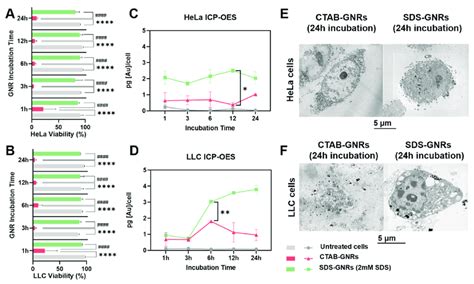 Effects Of CTAB GNR And SDS GNR Treatment On Cell Viability As Function