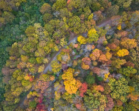 Fall colors, Loudoun County : r/nova