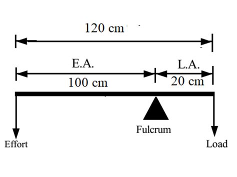 Lever and its types: Solved Numerical Problems