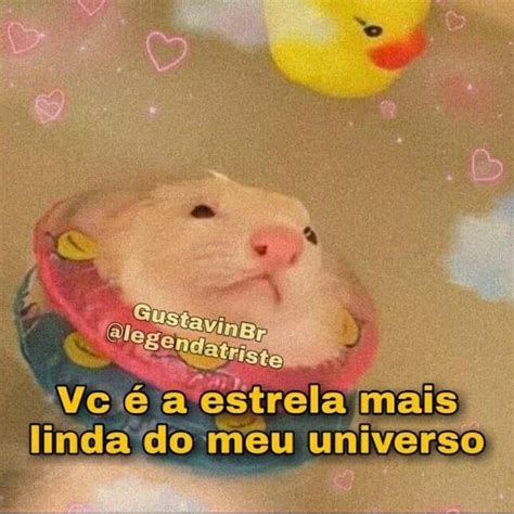 Pin de euquebrisei em boiolinha Frases fofinhas Memes engraçados