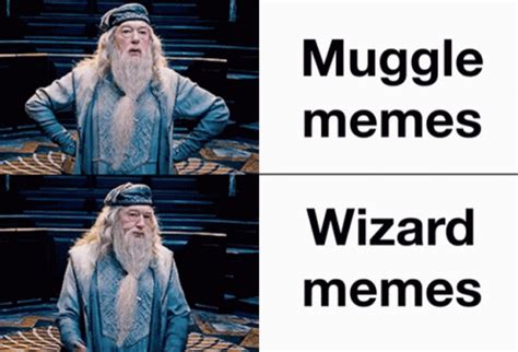 Dumbledore Harry Potter GIF - Dumbledore Harry Potter Hermonie - Discover & Share GIFs