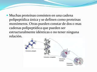 Estructura Secundaria De Las Proteinas Ppt