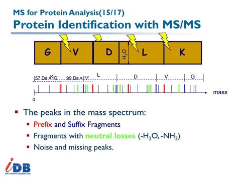 Ppt Ch Proteomics And Protein Identification Powerpoint