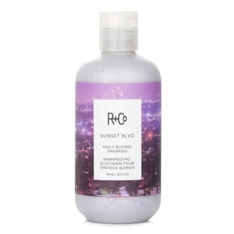 R Co Sunset Blvd Daily Blonde Shampoo 8 5 Oz Hair Care 810374026281 Hair Care Shampoo Jomashop