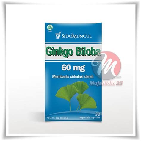 Kapsul Ginkgo Biloba Sidomuncul Ginko Giloba Vitamin Otak Daya Ingat