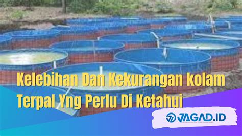 Kelebihan Dan Kekurangan Kolam Terpal Yang Simpel JAGAD ID