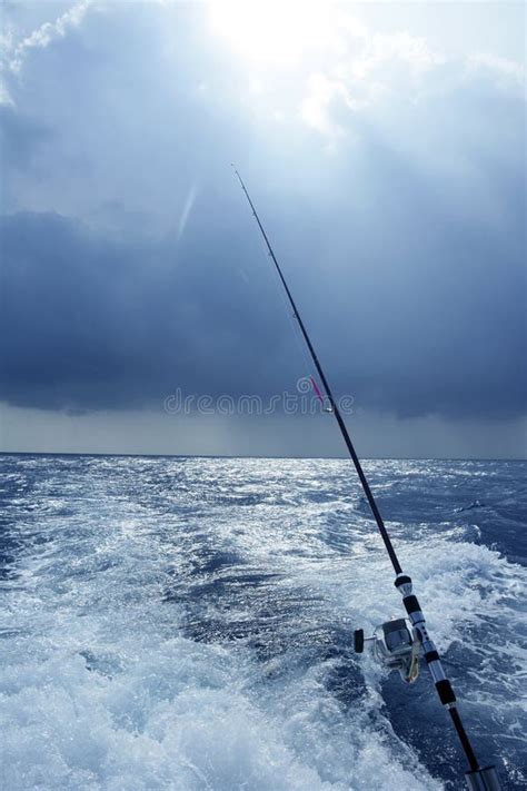 Sailfish Saltwater Sport Fishing Jumping Stock Image Image Of