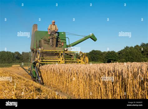 Old Combine Harvester In Grain Field Germany Stock Photo Alamy