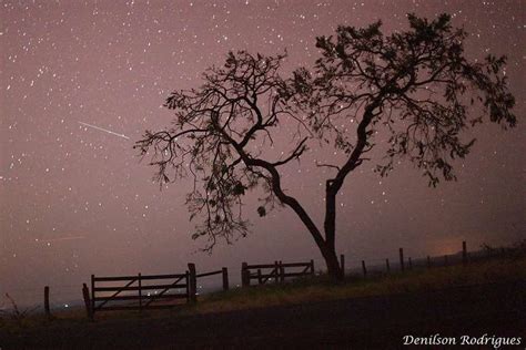 Chuva de meteoros Oriônidas poderá ser vista no céu saiba como