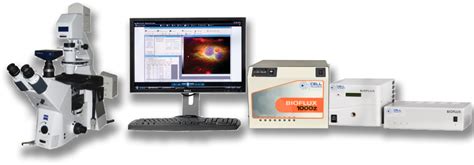 Bioflux Systems