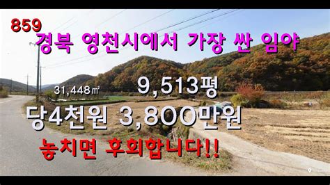 경북 영천시에서 가장 싼 임야 급매물 Youtube