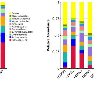 The Relative Abundance Of The Top Ten Phyla A And Genera B In The