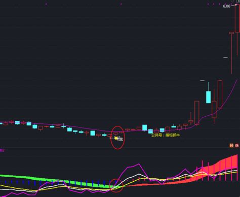 股市通达信【金叉共振抓大牛】主图副图选股指标公式，高胜率擒牛90 知乎