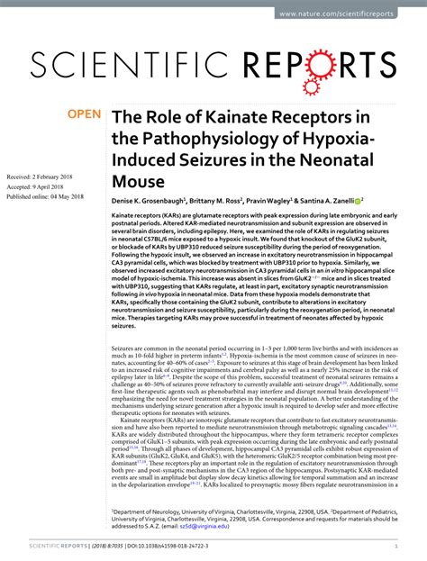 Pdf The Role Of Kainate Receptors In The Pathophysiology Of Hypoxia