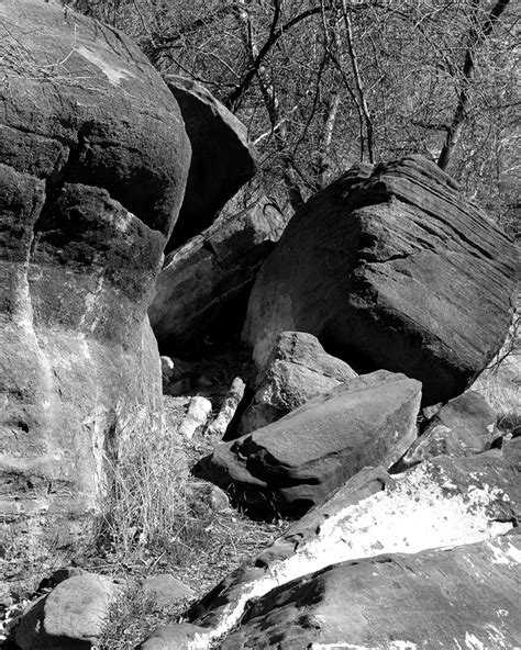 Snow in Zion National Park - Lakota Grace, Author