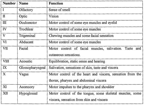 cranial nerves and functions - Google Search | Cranial nerves function ...