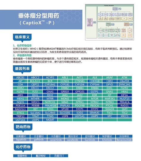 垂体瘤 阔然基因 阔然生物