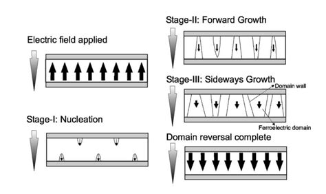 1: The three steps of ferroelectric switching when an electric field is ...