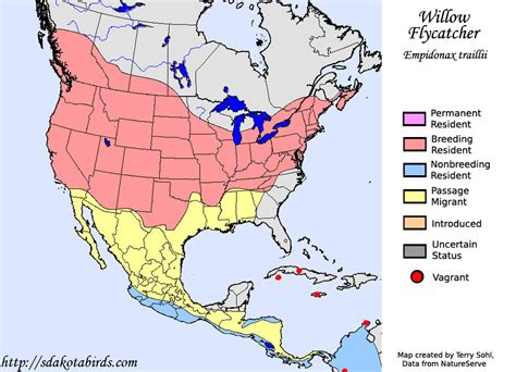 Willow Flycatcher Species Range Map