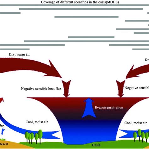 Schematic diagram of the interactions of hydrothermal and energy ...