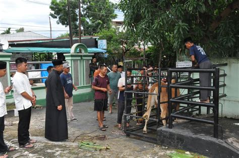 Korem 031 Wira Bima Gelar Sholat Idul Adha 1445 H Dan Penyembelihan