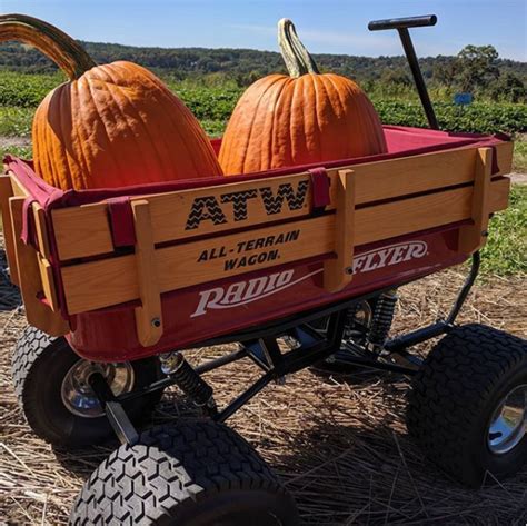 Jones Family Farms - Pumpkinseed Hill Farm - Pumpkin Patch Near Me