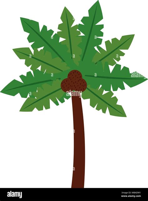 Palm Tree Tropical With Coconuts Stock Vector Image And Art Alamy