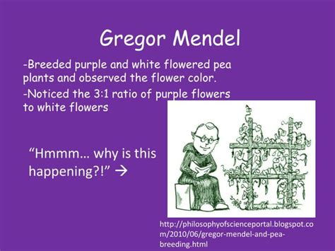 Ppt Gregor Mendel Powerpoint Presentation Free Download Id3469729