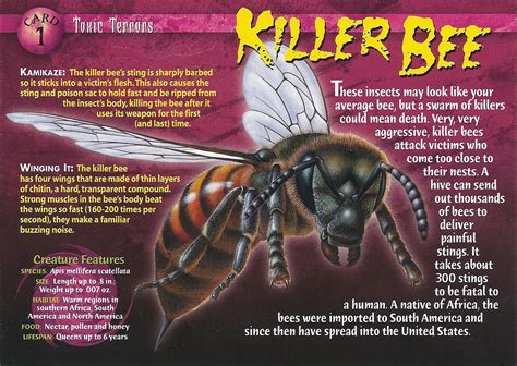 Killer Bee | Wierd N'wild Creatures Wiki | FANDOM powered by Wikia