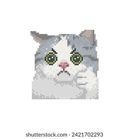 Cat Approved Pixel Art Meme Stock Vector (Royalty Free) 2421702293 | Shutterstock