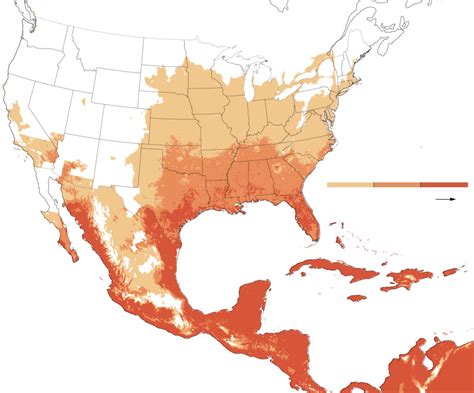 How Dengue A Deadly Mosquito Borne Disease Could Spread In A Warming