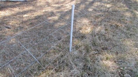 How To Build Electric Fence For Goats Meat Goats