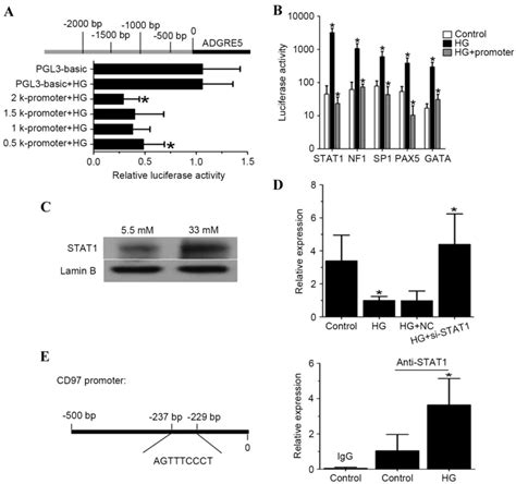 Lentivirusmediated Overexpression Of Cd Adgre Reverses Dysregulated