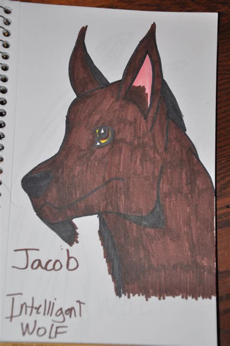 Jacob Black wolf form by IntelligentWolf on DeviantArt