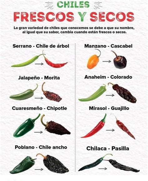 Different types of mexican chile peppers – Artofit