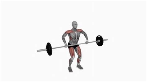 Barbell Clean Press Powerlifting Fitness Exercise Stock Footage Video (100% Royalty-free ...