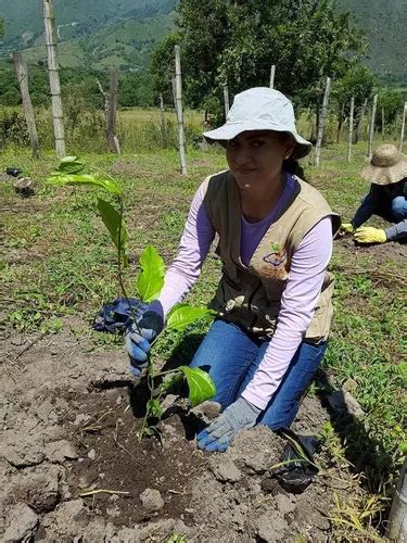 Humus Reina Granulado acondicionador Orgánico 1 Kilo en venta en Neiva