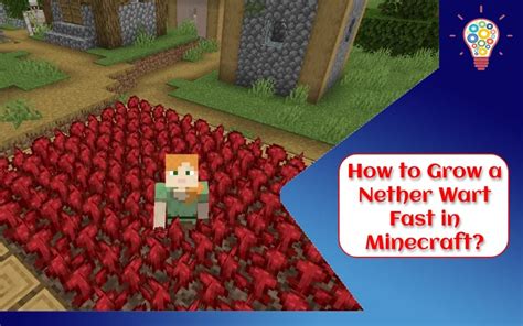 How To Grow A Nether Wart Fast In Minecraft Updated Ideas