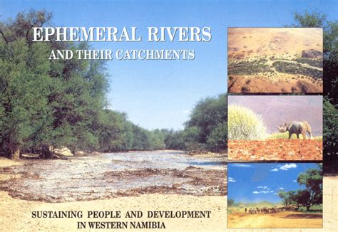 (PDF) Ephemeral Rivers and Their Catchments: Sustaining People and ...