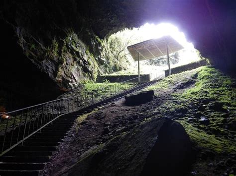 Best Dunmore Cave Tours & Tickets - Book Now