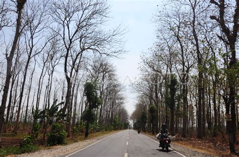 KEMARAU PANJANG ANTARA Foto