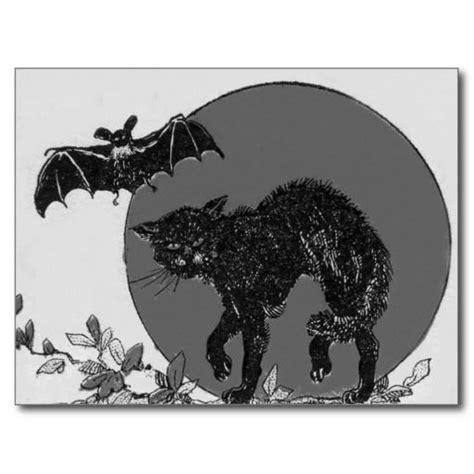 Monochrome Black Cat Bat Full Moon Postcard Zazzle Halloween Folk