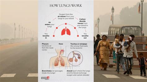 In Pics A Look At How Air Pollution Affects Our Health