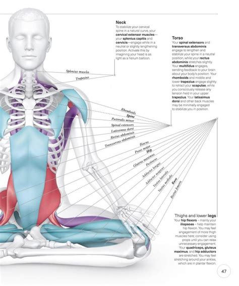 Science Of Yoga Understand The Anatomy And Physiology To Perfect Your