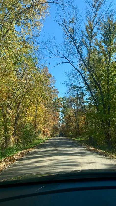 Fall colors in Michigan 🍂🍁 | Autumn leaves photography, Autumn ...