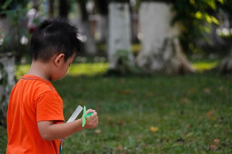 Free Images Grass Person People Lawn Play Flower Spring Green